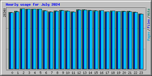 Hourly usage for July 2024