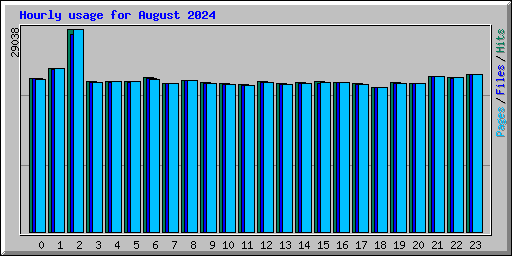 Hourly usage for August 2024