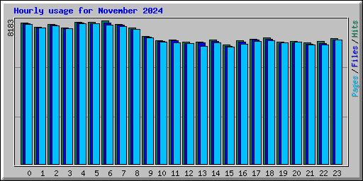 Hourly usage for November 2024