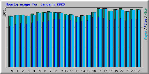 Hourly usage for January 2025
