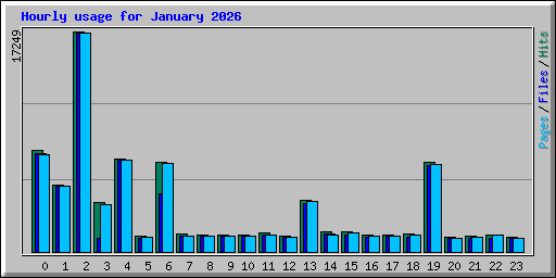 Hourly usage for January 2026